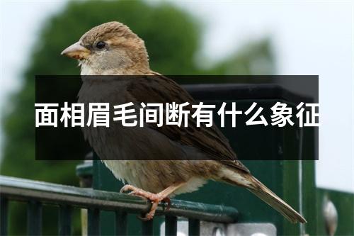 面相眉毛间断有什么象征