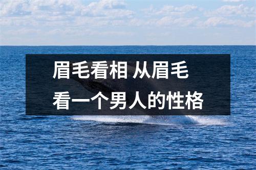 眉毛看相从眉毛看一个男人的性格