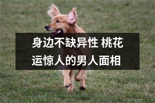 身边不缺异性桃花运惊人的男人面相