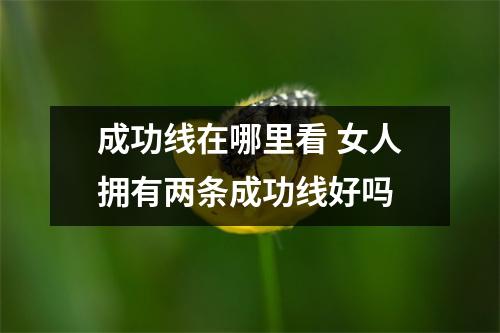 成功线在哪里看女人拥有两条成功线好吗