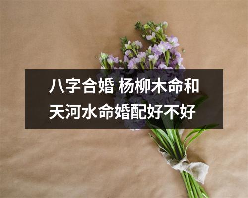 八字合婚杨柳木命和天河水命婚配好不好