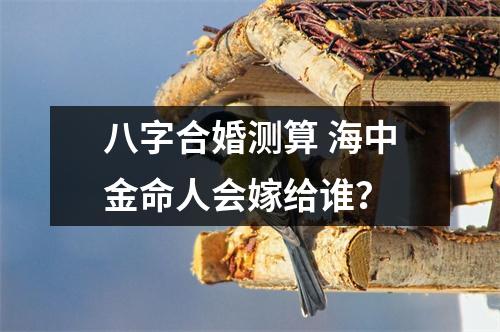 八字合婚测算海中金命人会嫁给谁？
