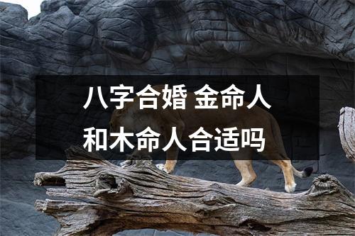 八字合婚金命人和木命人合适吗